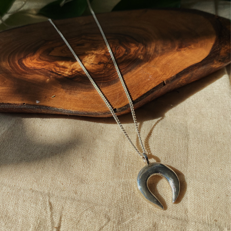 turtle moon necklace